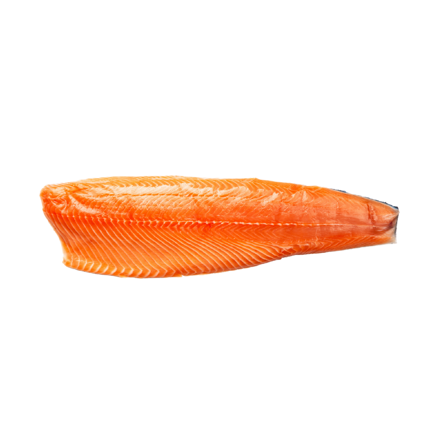 JONA Atlantic Salmon Filet Tray Packed - MyKosherFish.com