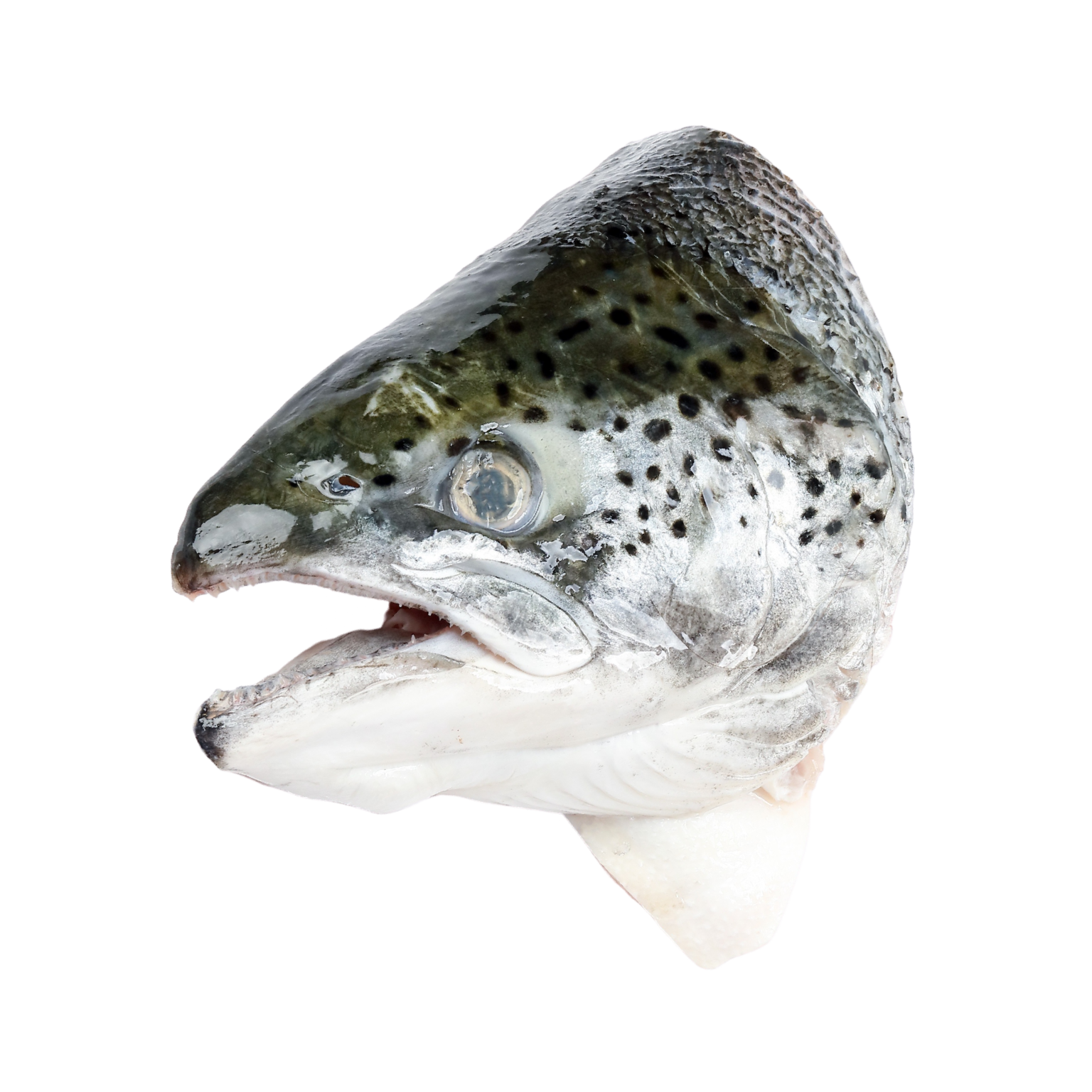 JONA Ora King Salmon Filet Tray Packed