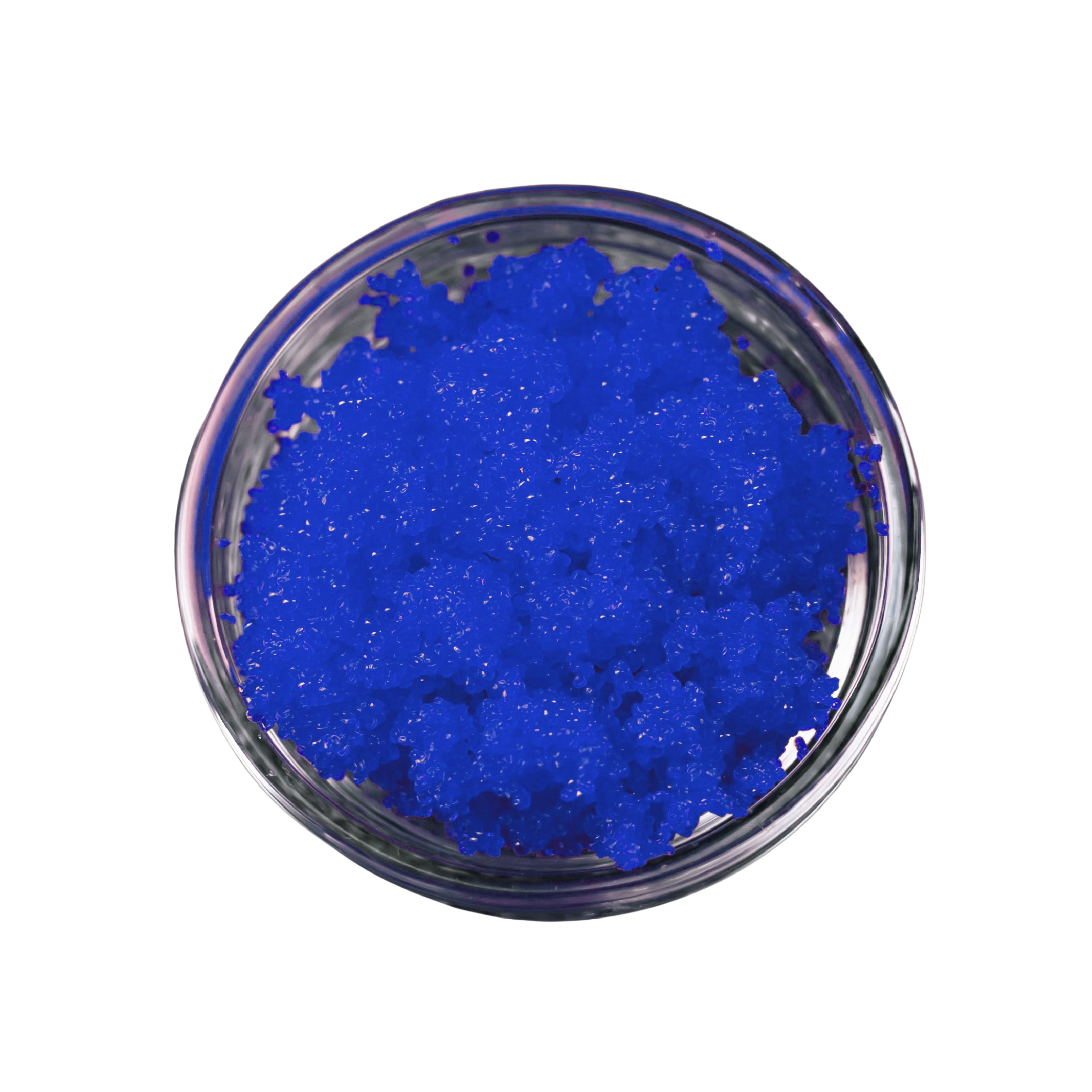 MKF_Imitation_Appetizers_Blue_